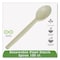 Eco-Products EcoSense Renewable Plant Starch Cutlery, Spoon, 7", PK50 EP-S003 - alternate 2